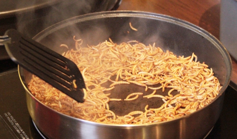 extrem food fest 2019 3