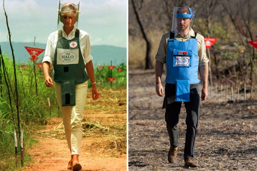 Obrázek: princ-harry-small