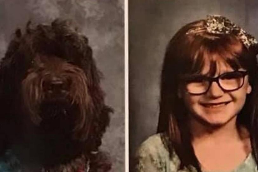 Obrázek: rocenka-asist-pes-small