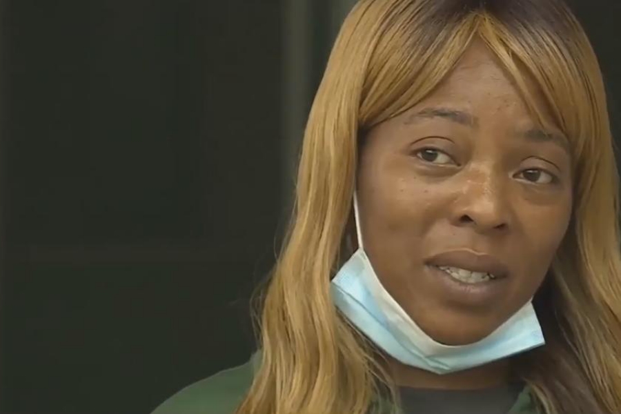 Obrázek: shetara-sims-small