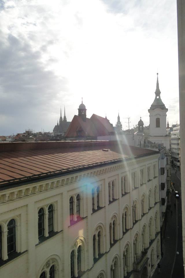 Obrázek: smidova6