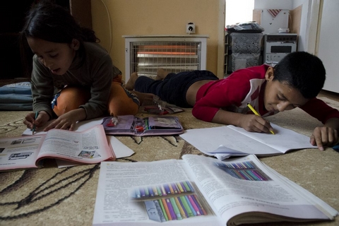 Obrázek: zlutice-small