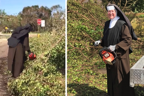 Obrázek: jeptiska-motorovka-small