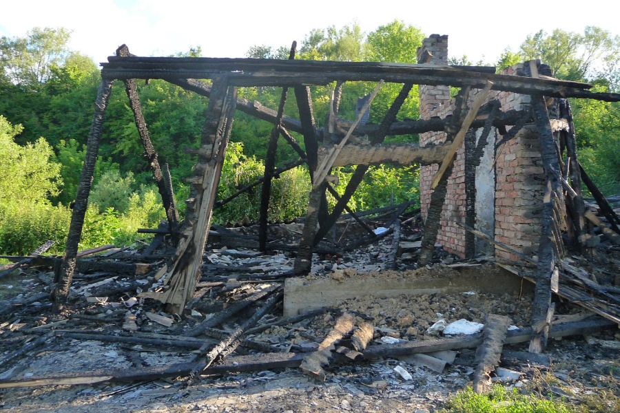 Obrázek: benisek-small