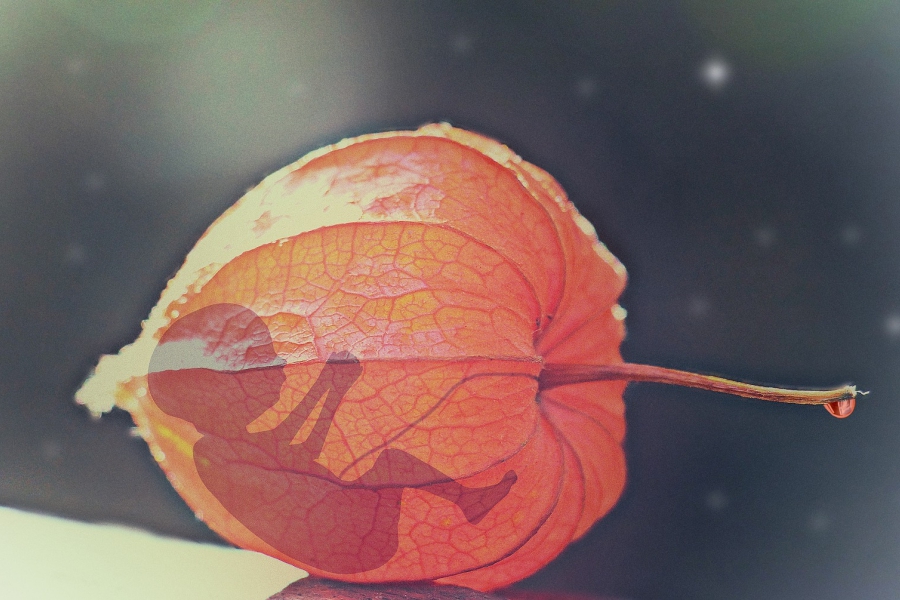 Obrázek: sterilizace-romske-zeny-small