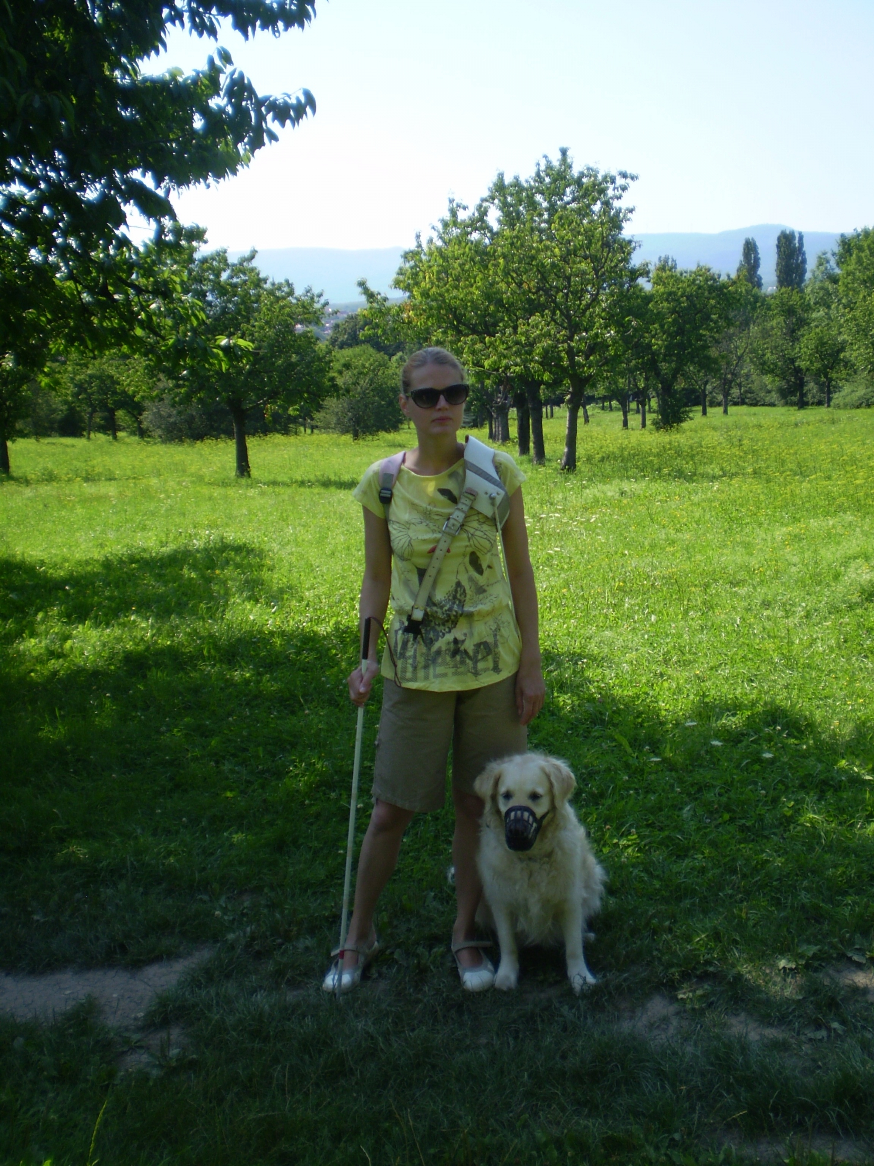 Obrázek: img-6438