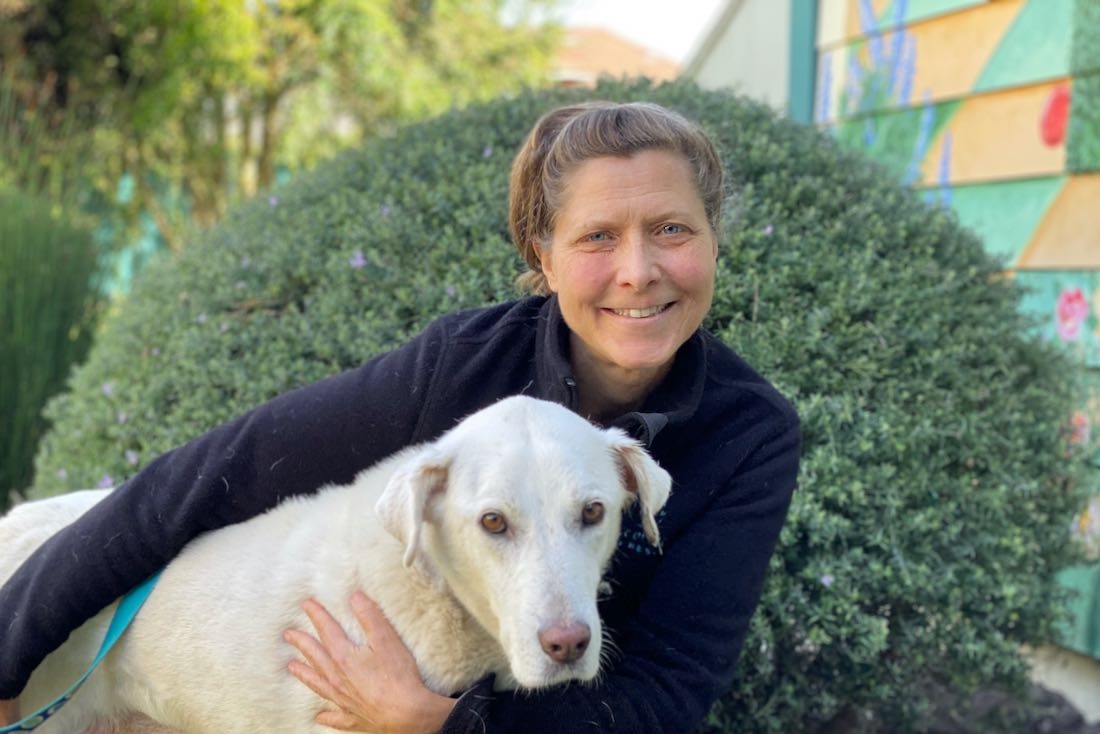 Obrázek: cariebroecker