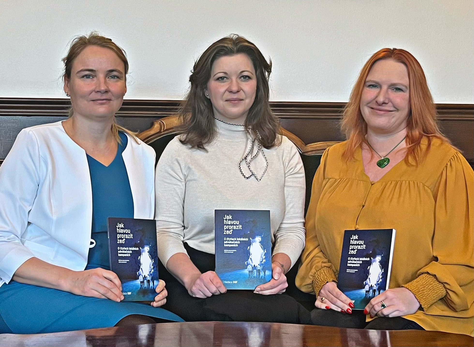 Obrázek: advokacni-forum-nadace-osf-1