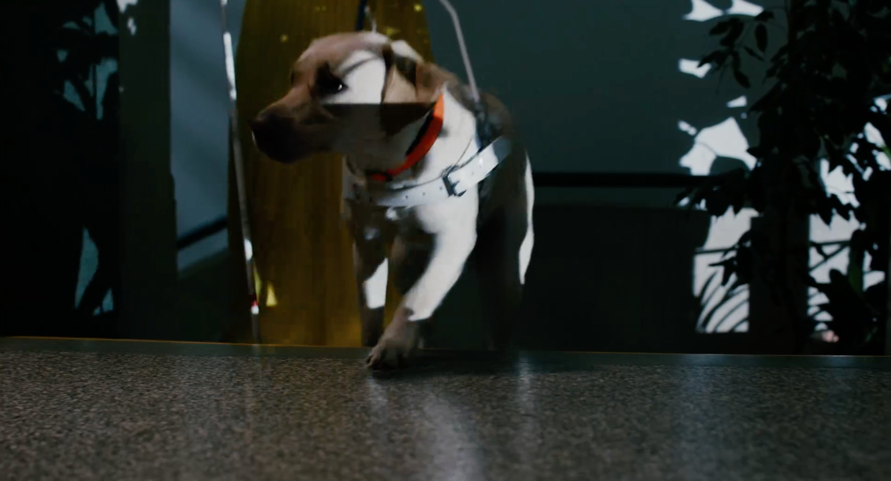 Obrázek: chybavzakone