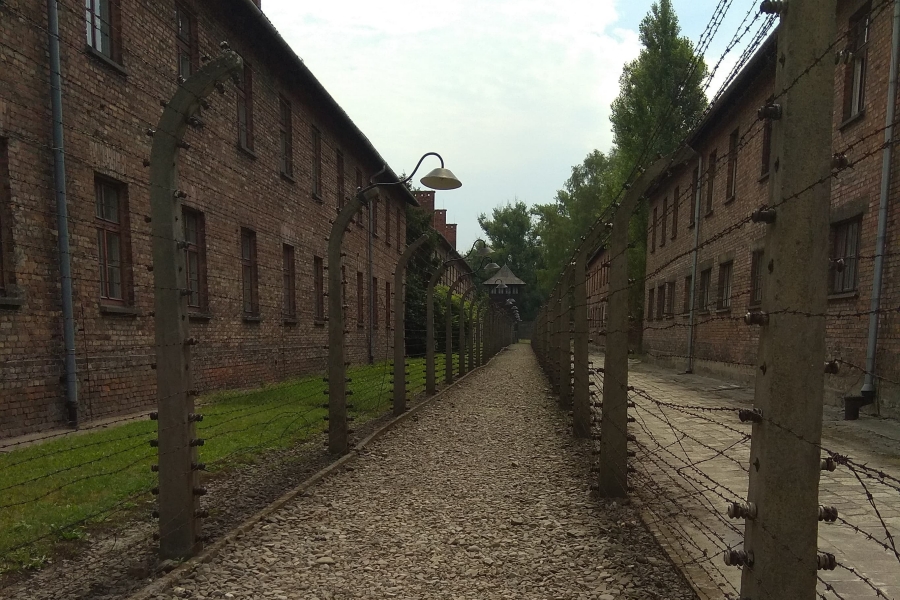Obrázek: badatele-romsky-holocaust-small