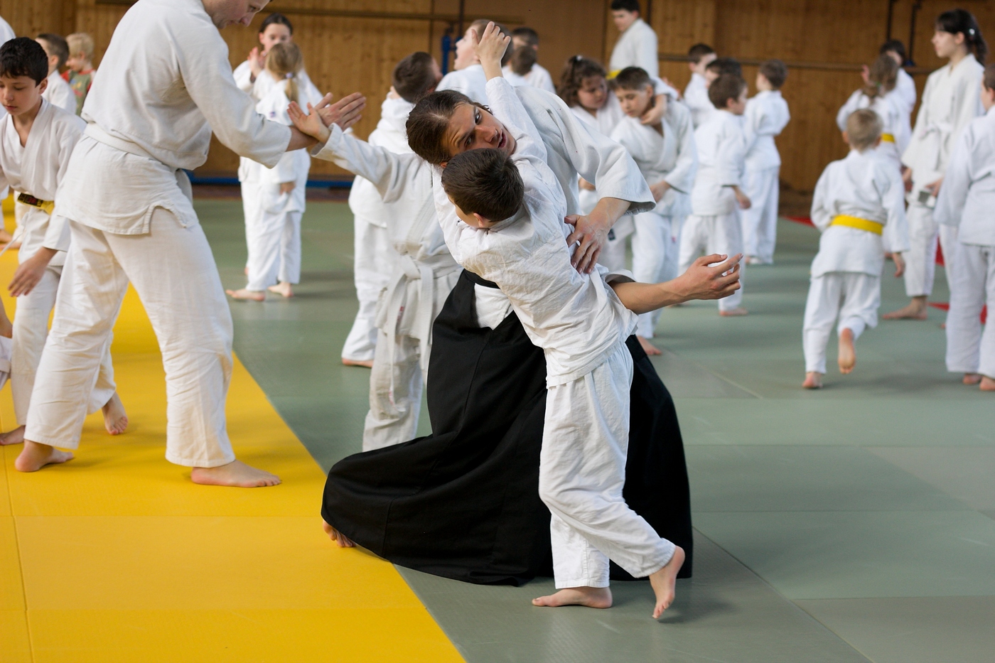 Obrázek: aikido-sokol-jihlava-ii