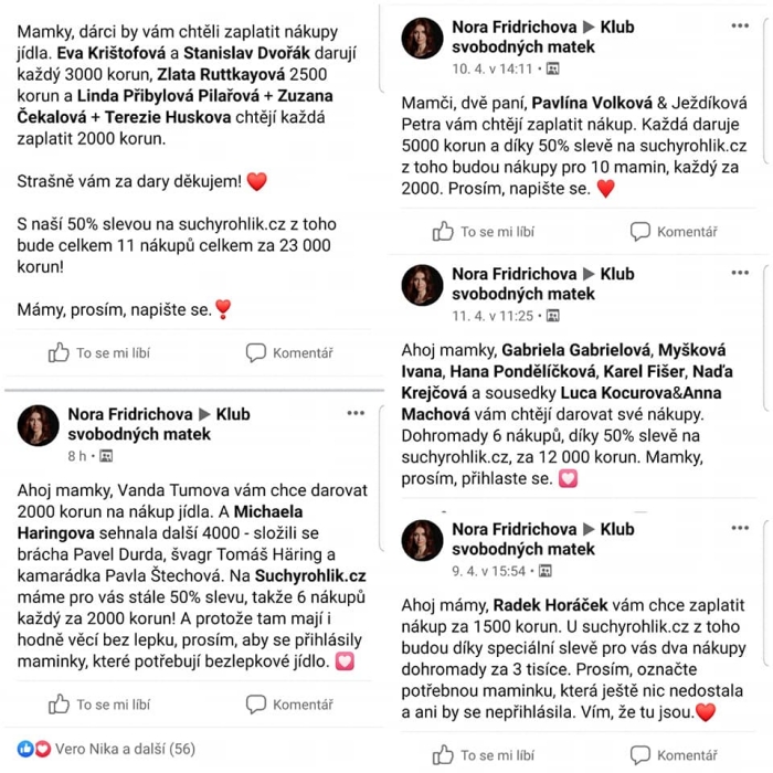 fridrichova samozivitelky 4