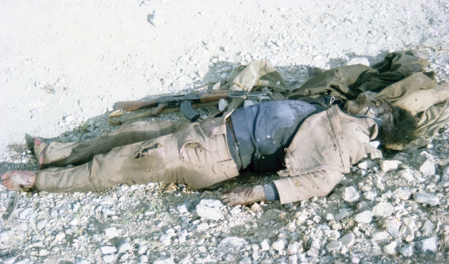 vladimir afghanistan 2