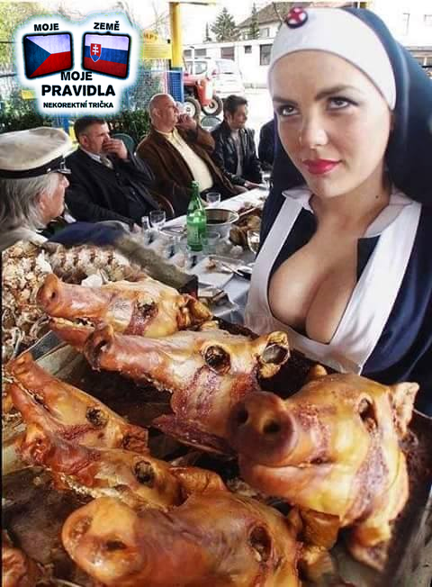moje zeme