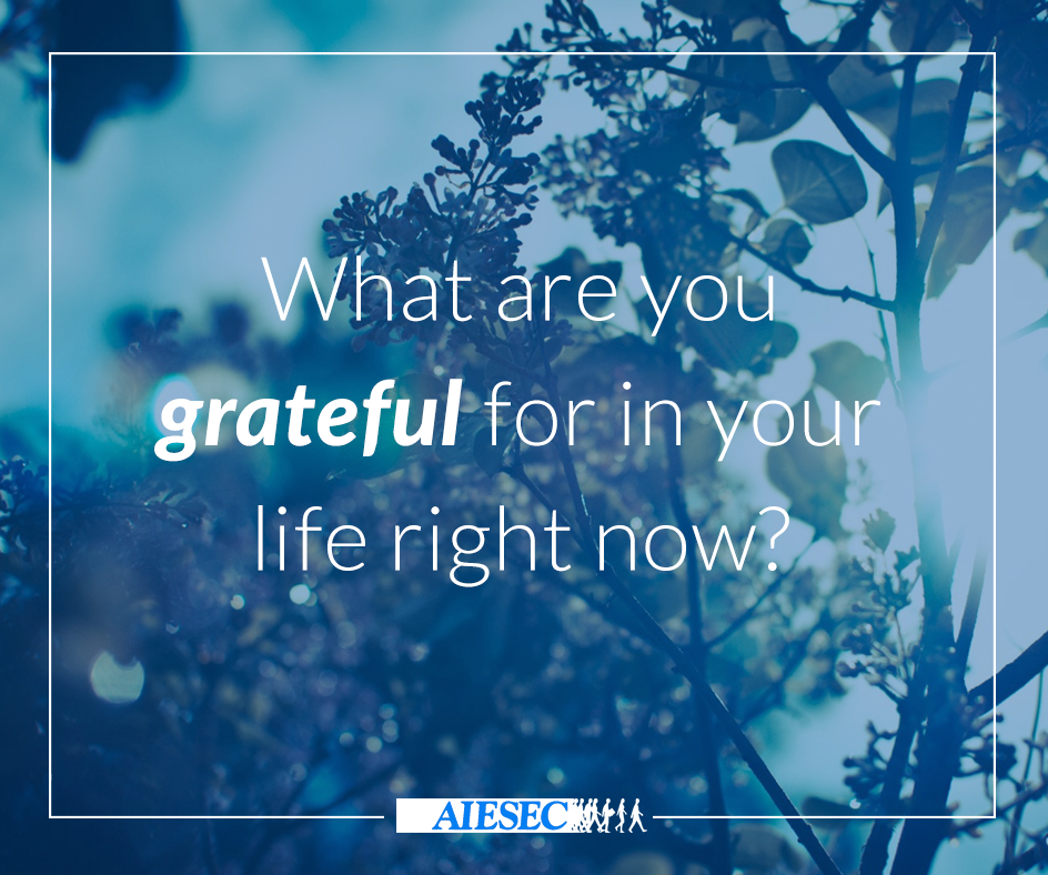 Obrázek: 552f6ca253529-what-are-you-grateful-for
