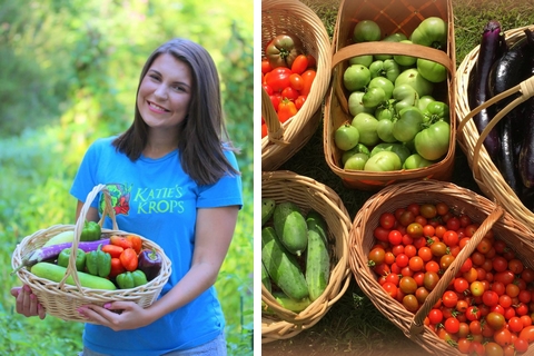 Obrázek: katies-crops-small