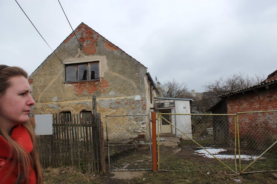 zlutice 5