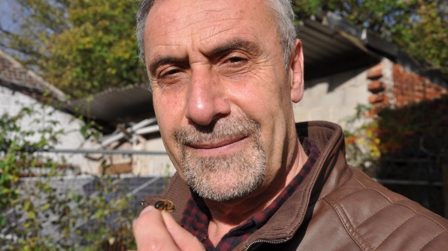 syrsky vcelar 3