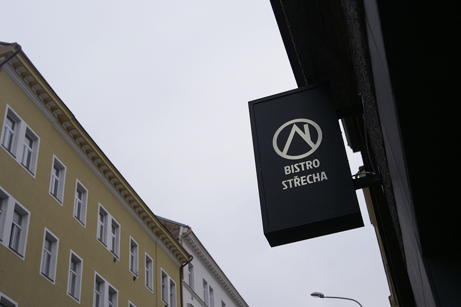 strecha10