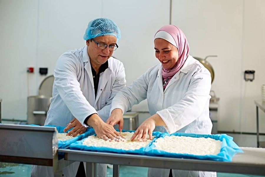Obrázek: syry-syrie-small