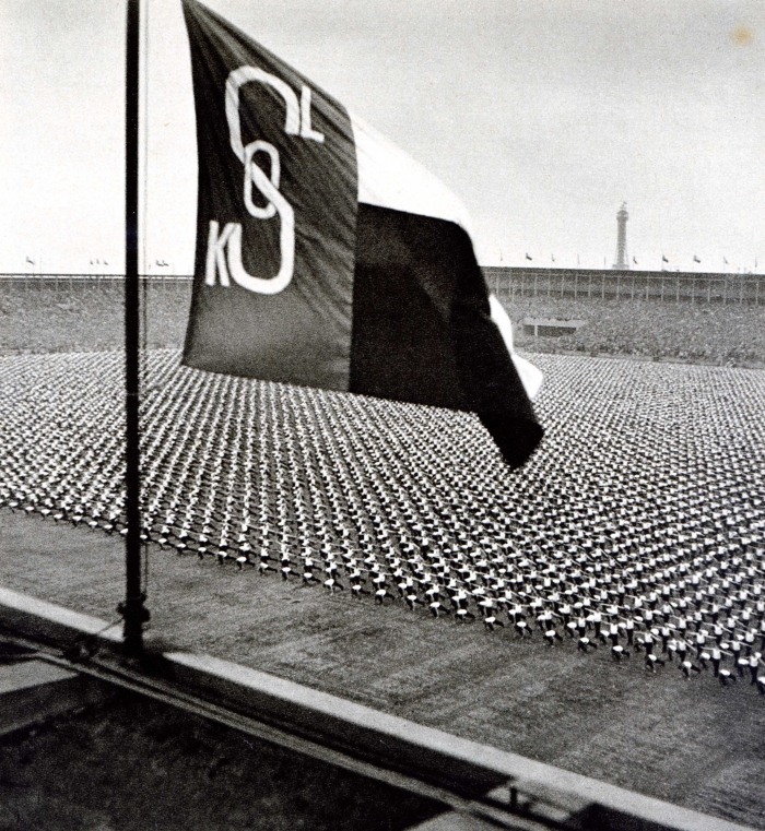 dolezel 6