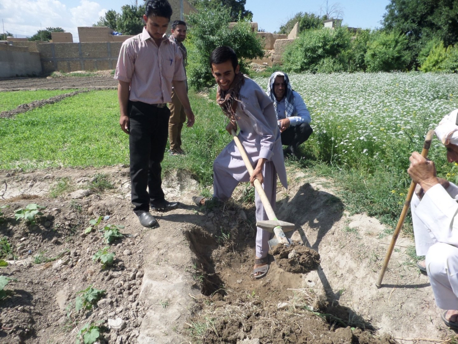 herat CVT 12
