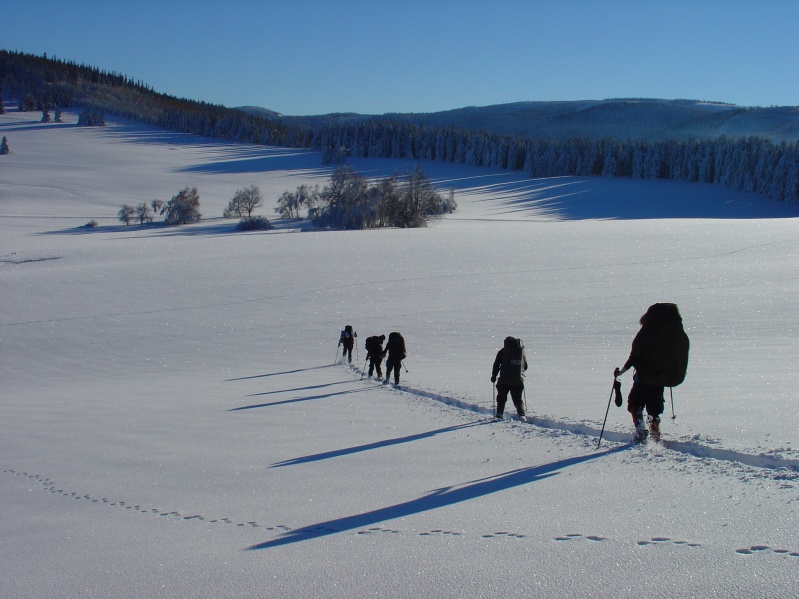 Obrázek: 10446724-1273731812652391-5514619216039107763-n