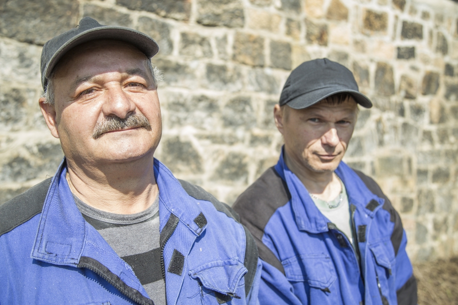 sms decin 7