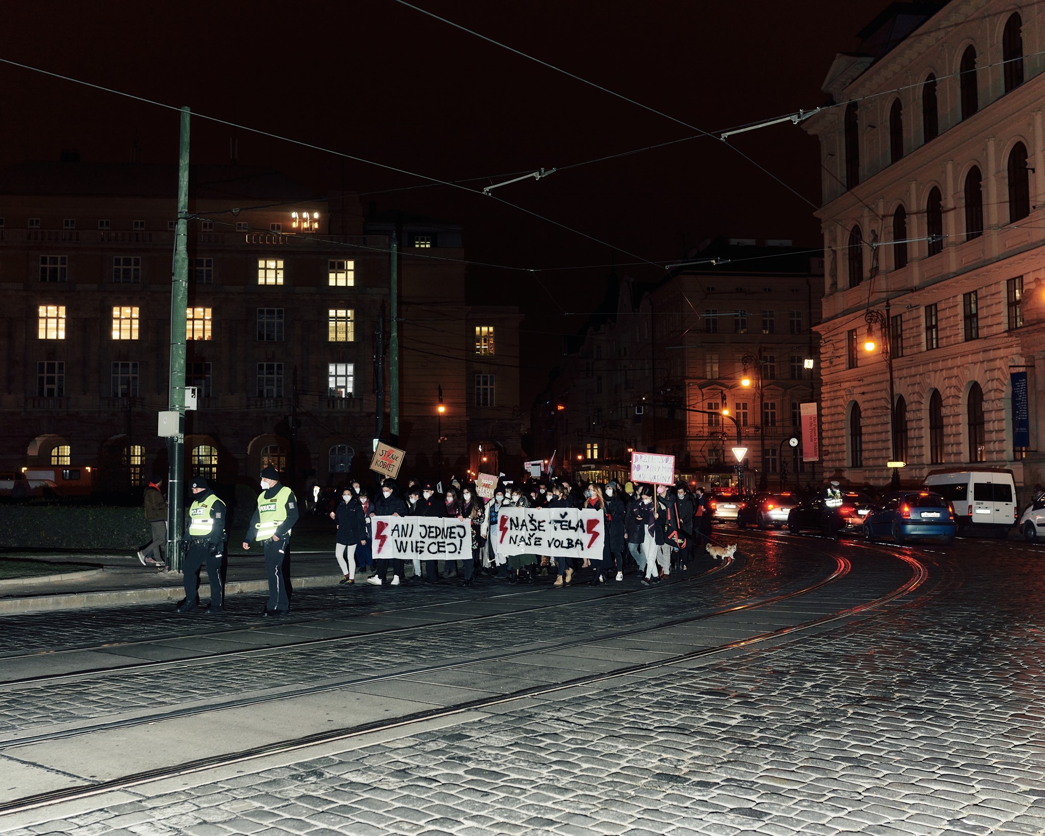 Obrázek: 5-protest