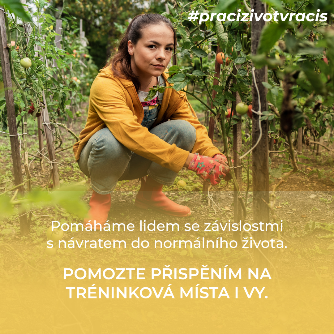 Obrázek: podporujimagdalenu-cz-1