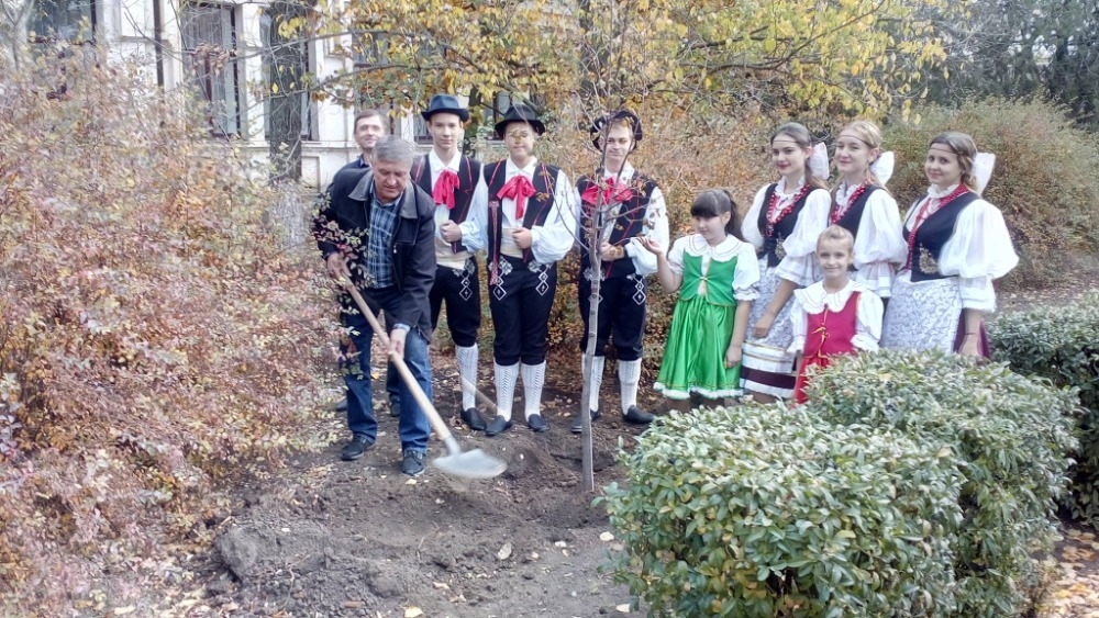 Obrázek: sazeni-stromu-svobody-cechohrad