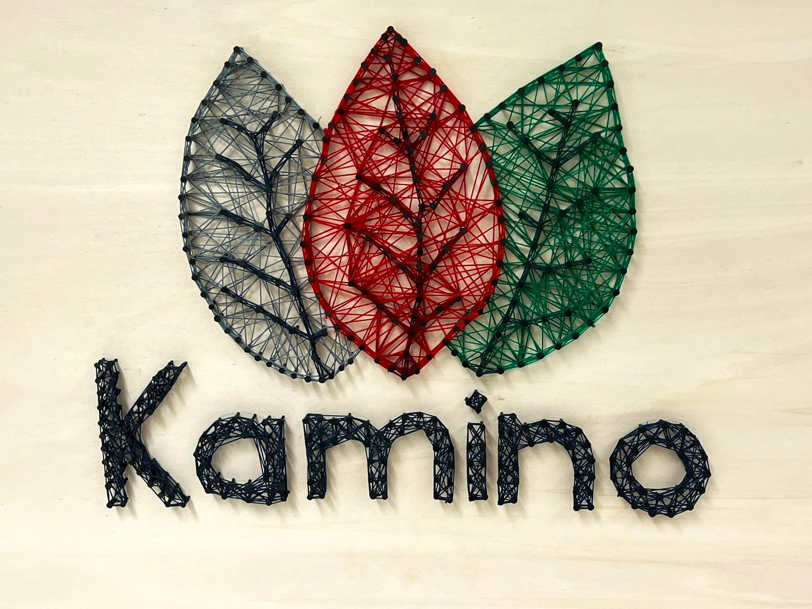 Obrázek: kamino-logo