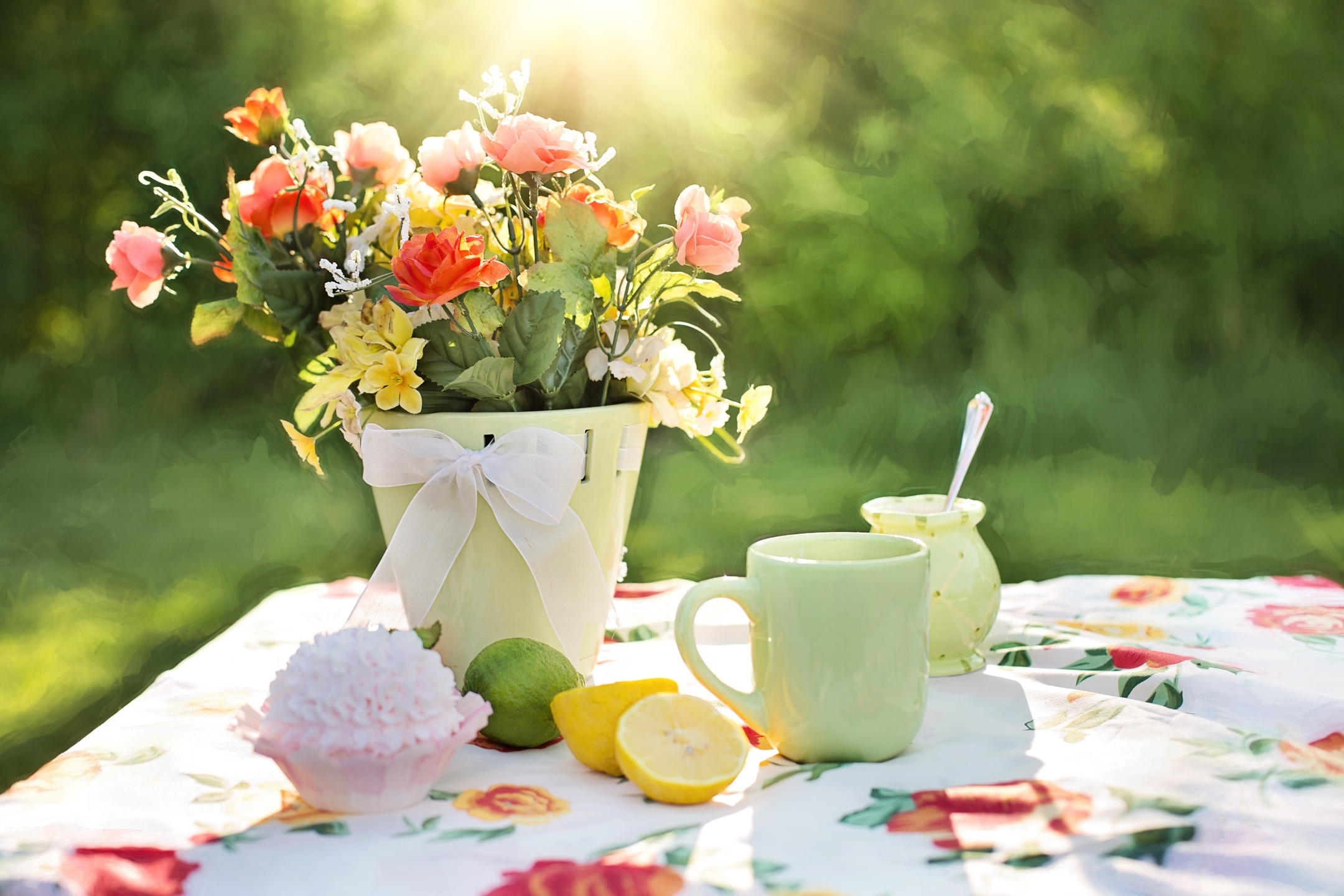 Obrázek: flower-petal-meal-green-garden-flora-724865-pxhere-com
