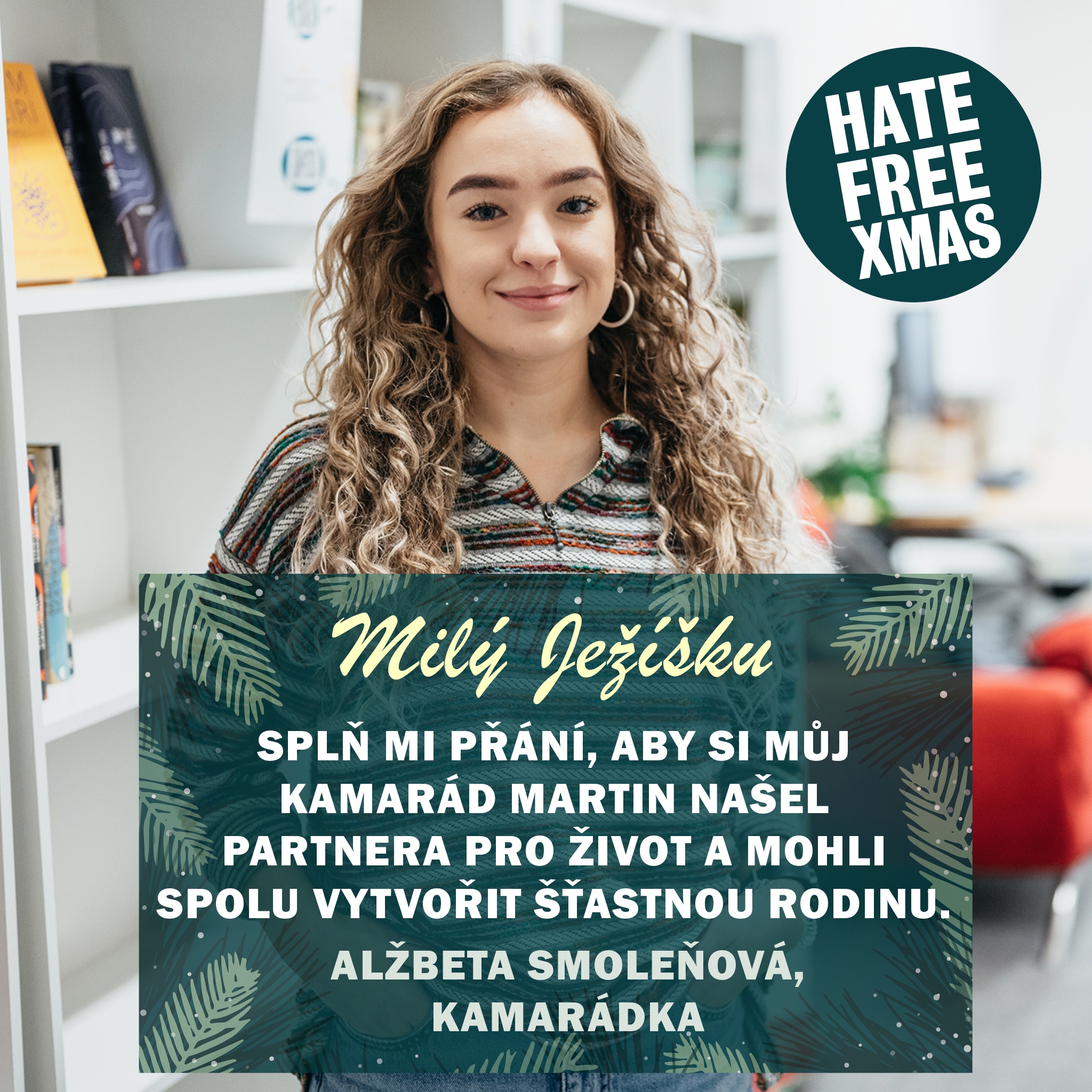 Obrázek: 17