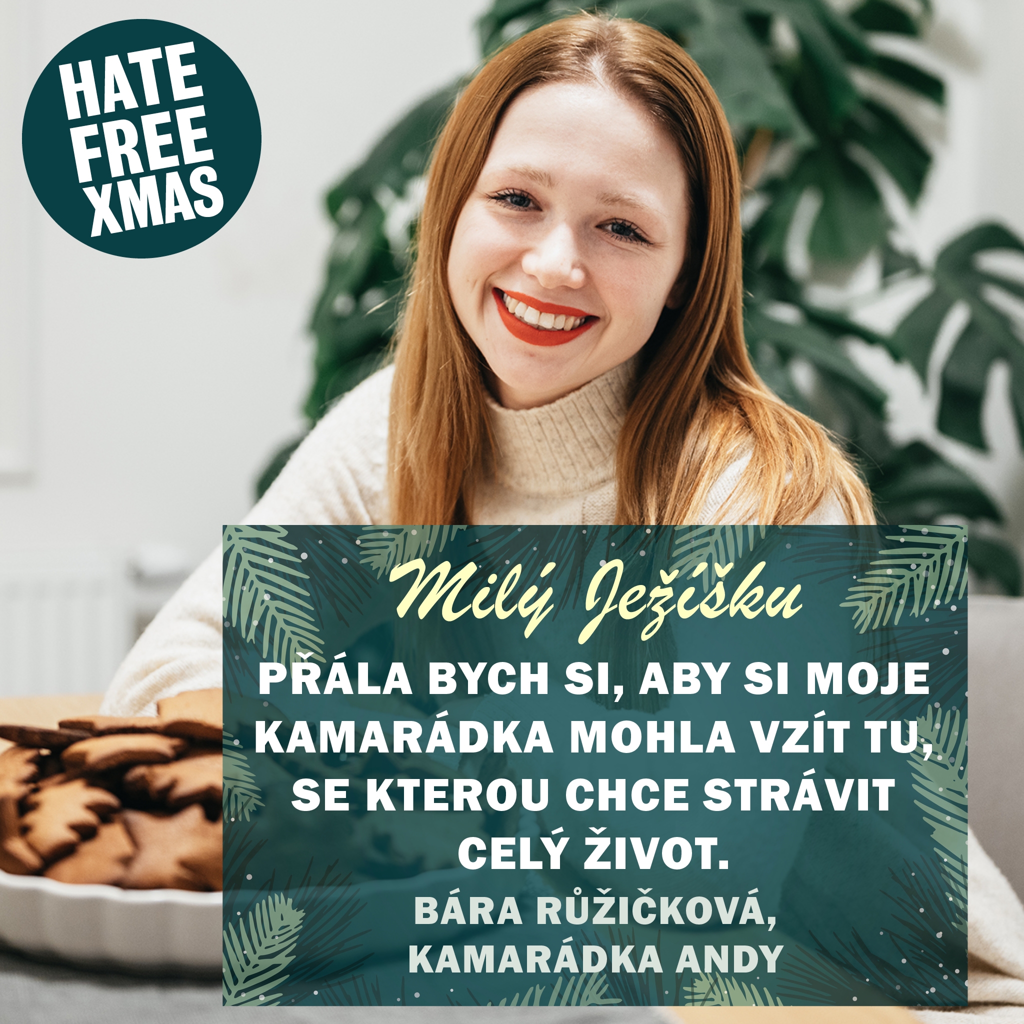 Obrázek: 16
