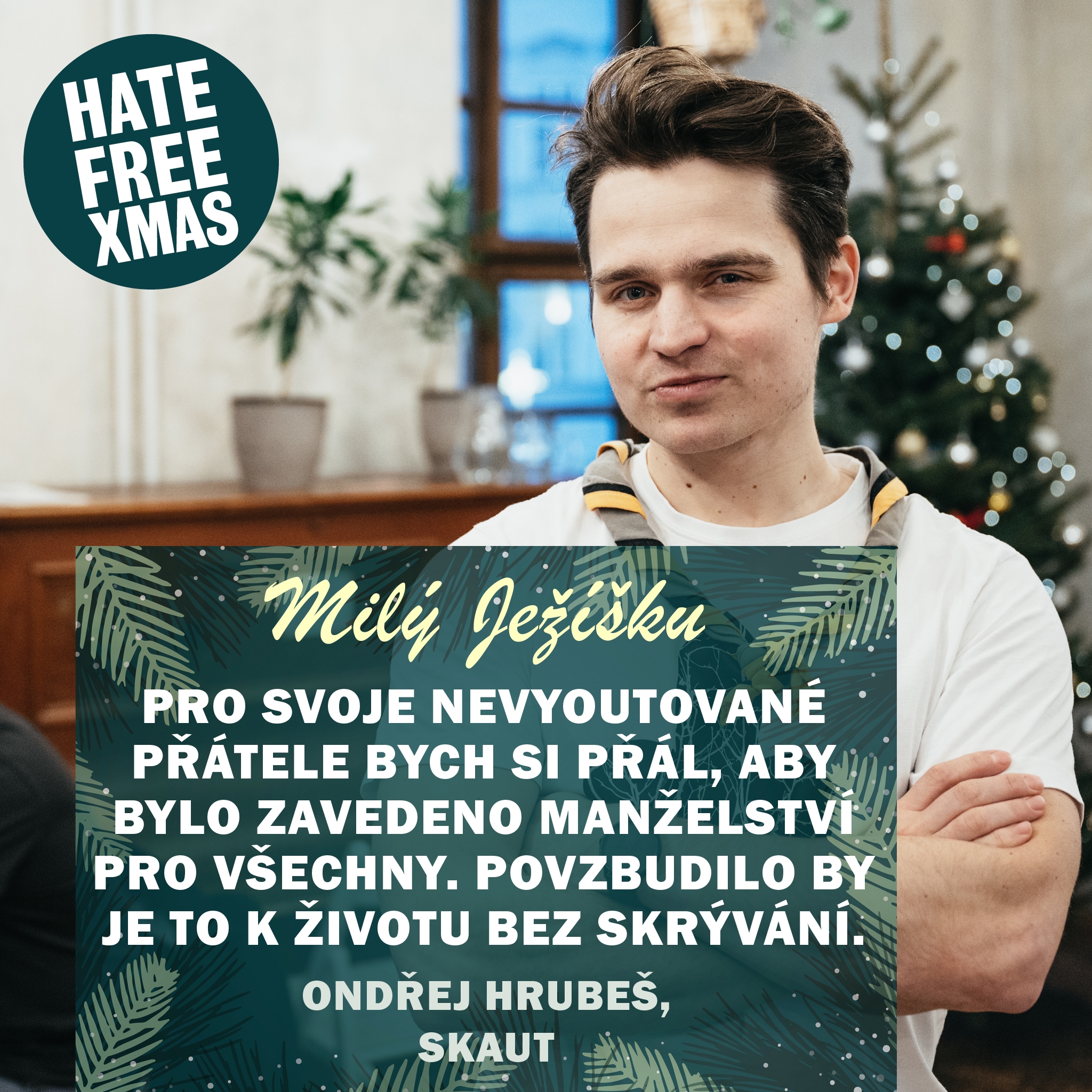 Obrázek: 13