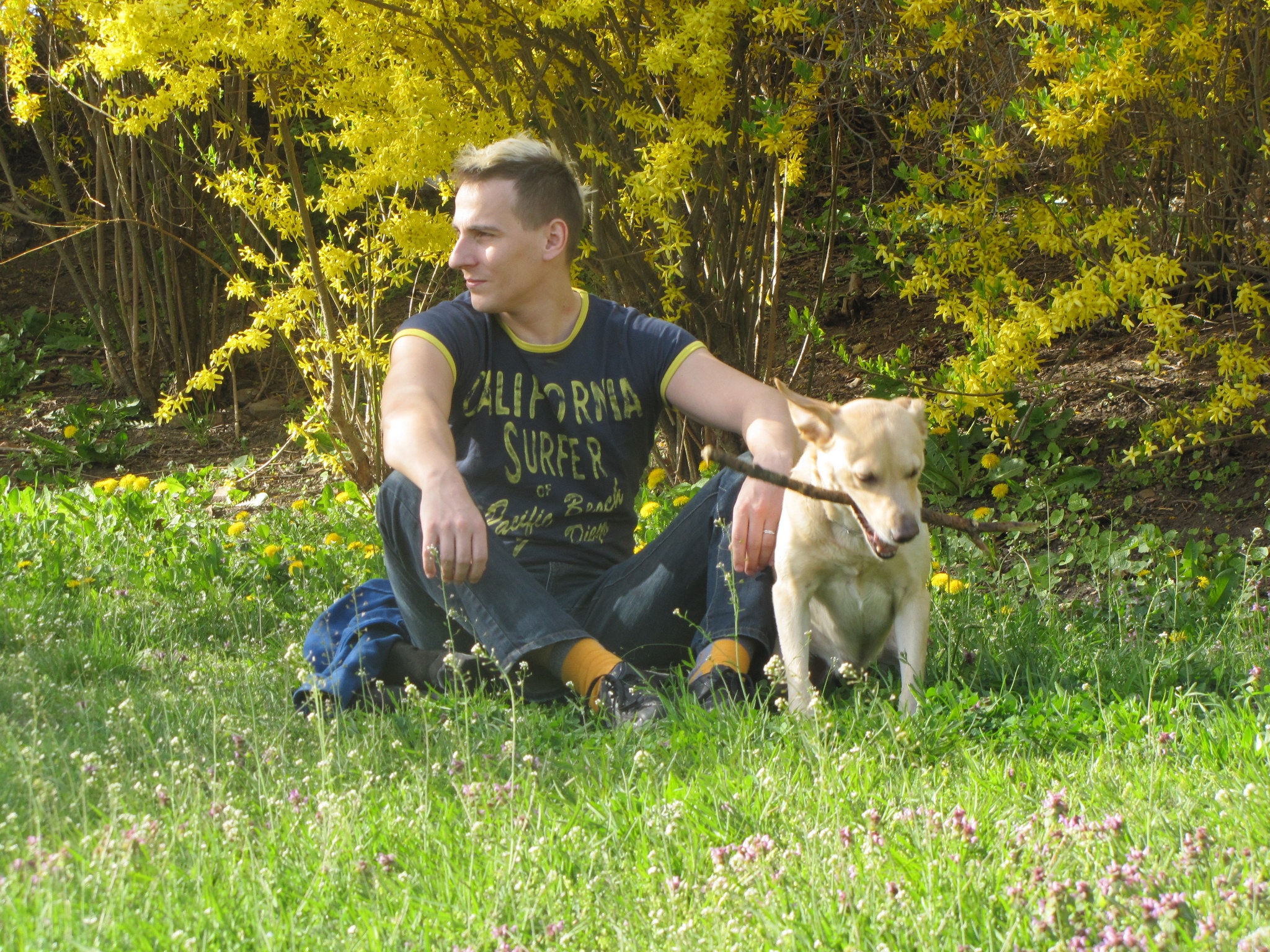 Obrázek: pred2