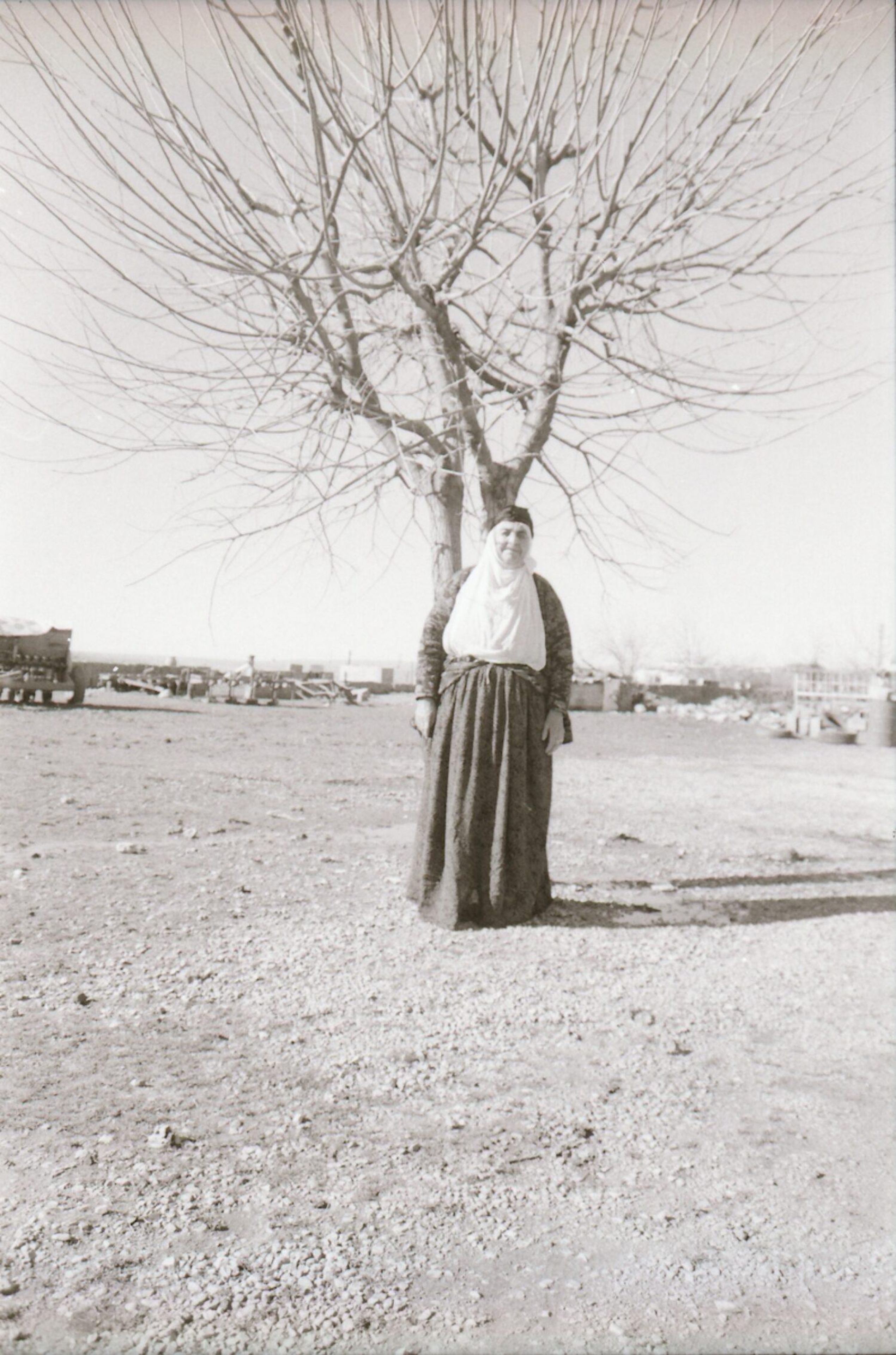 Obrázek: woman-and-tree-taken-by-meltem-aged-18-turkey
